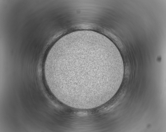 X0000116630394201001221405