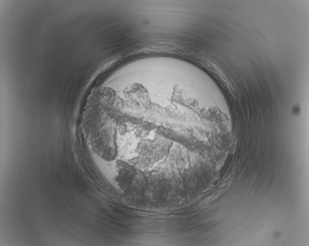 X0000116630396201001221405
