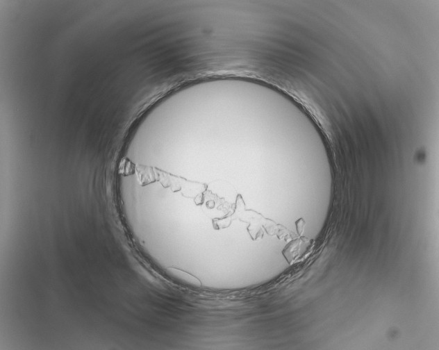 X0000116630397201001221405