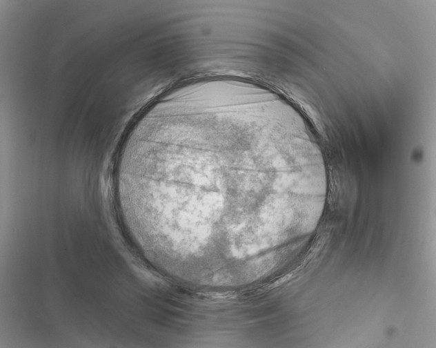 X0000116630398201001221405