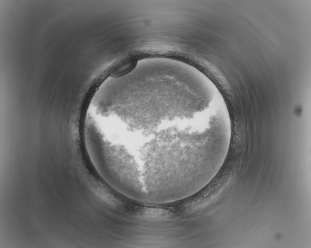 X0000116630399201001221405