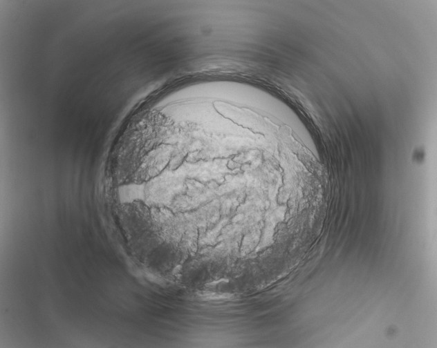 X0000116630400201001221405