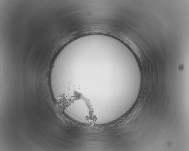 X0000116630401201001221405
