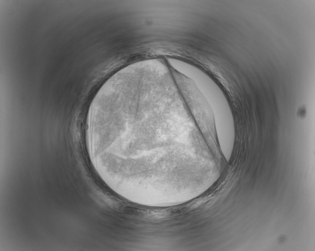 X0000116630402201001221405
