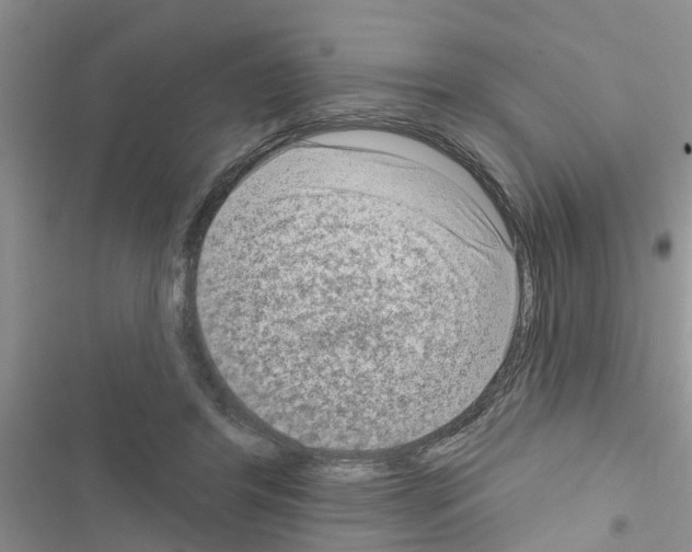 X0000116630404201001221405