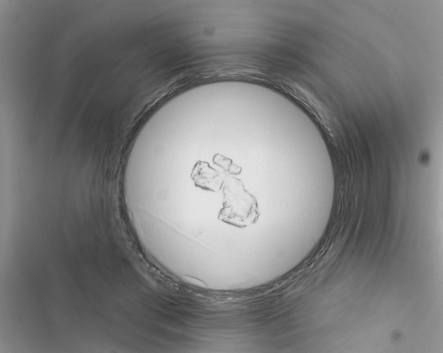 X0000116630405201001221405