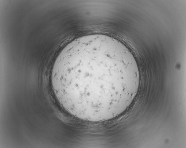 X0000116630406201001221405
