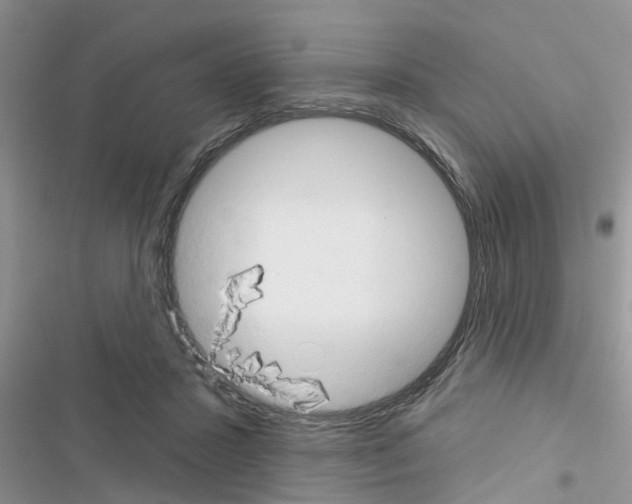 X0000116630407201001221405