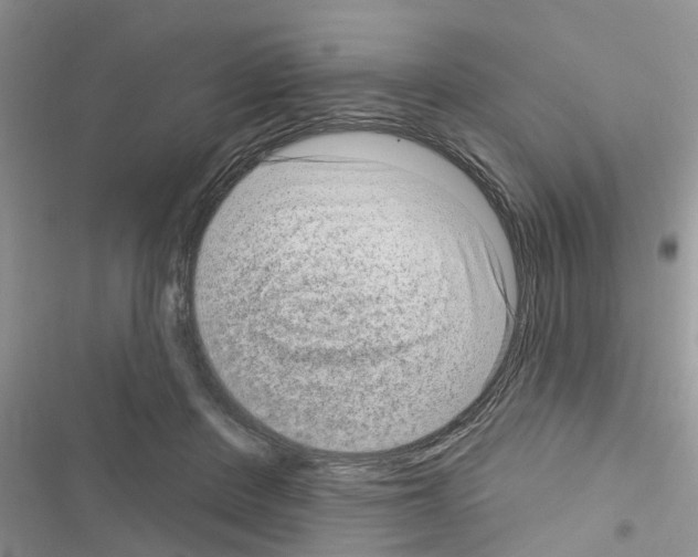 X0000116630408201001221405