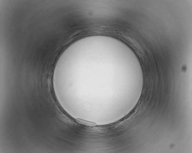 X0000116630409201001221405
