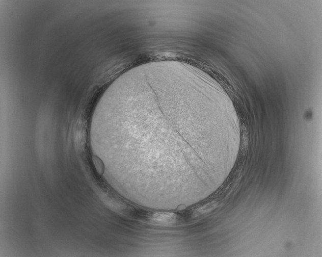 X0000116630410201001221405