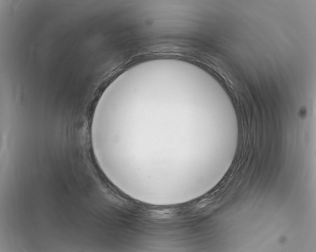 X0000116630411201001221405