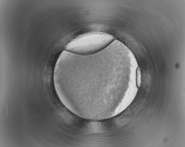 X0000116630413201001221405