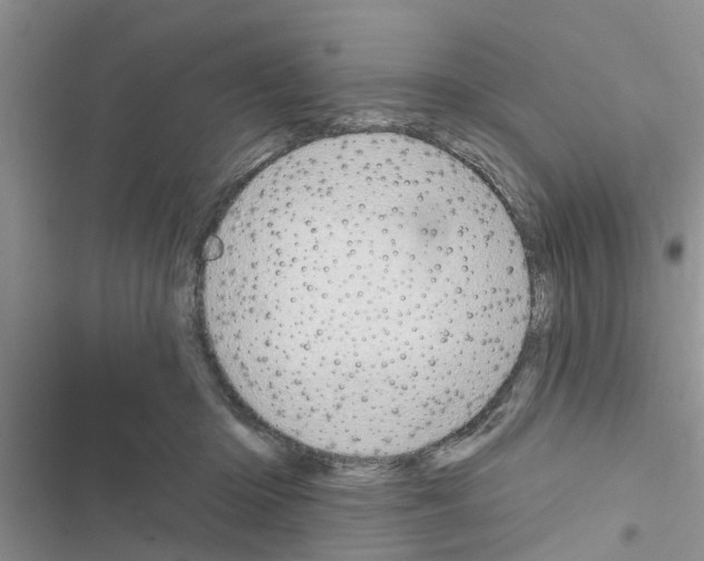 X0000116630414201001221405