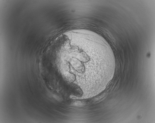 X0000116630416201001221405
