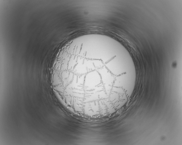 X0000116630417201001221405