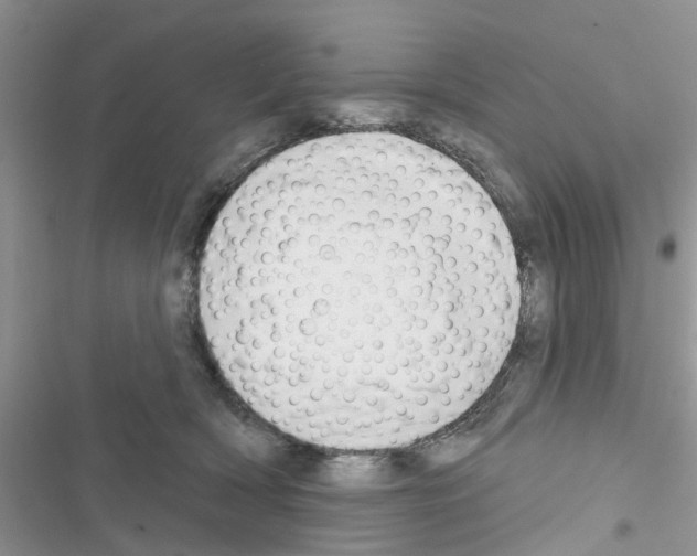 X0000116630418201001221405