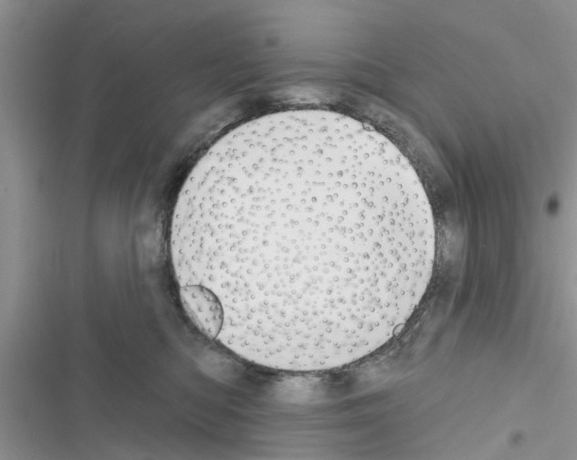 X0000116630422201001221405