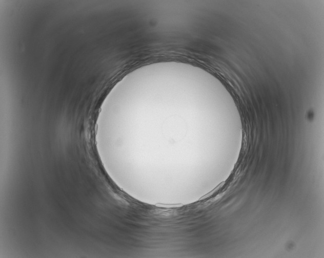 X0000116630424201001221405