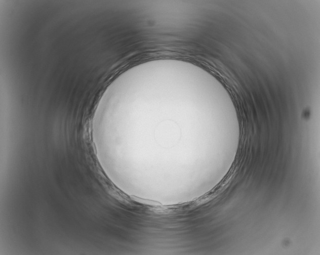 X0000116630425201001221405