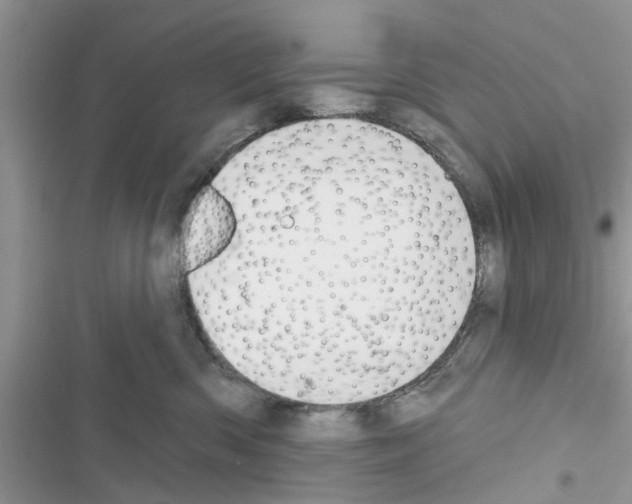 X0000116630426201001221404