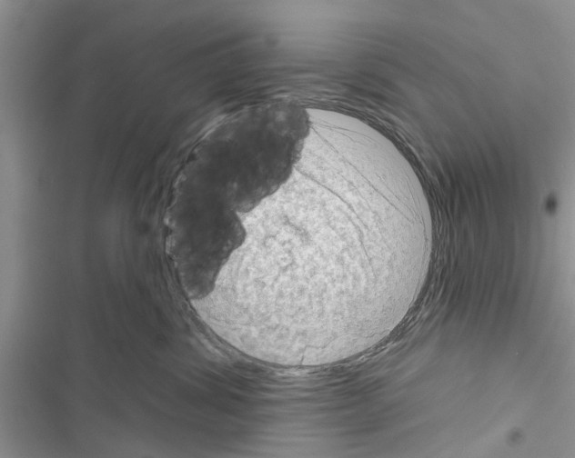 X0000116630428201001221404