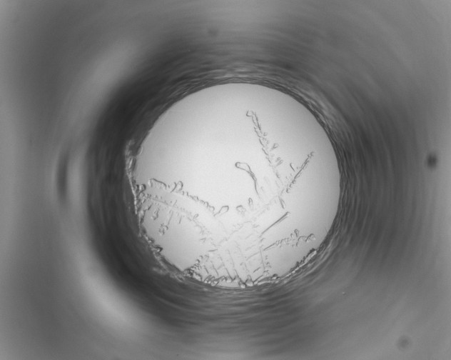 X0000116630429201001221404