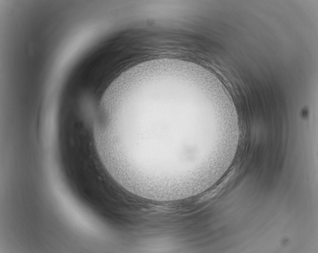 X0000116630430201001221404