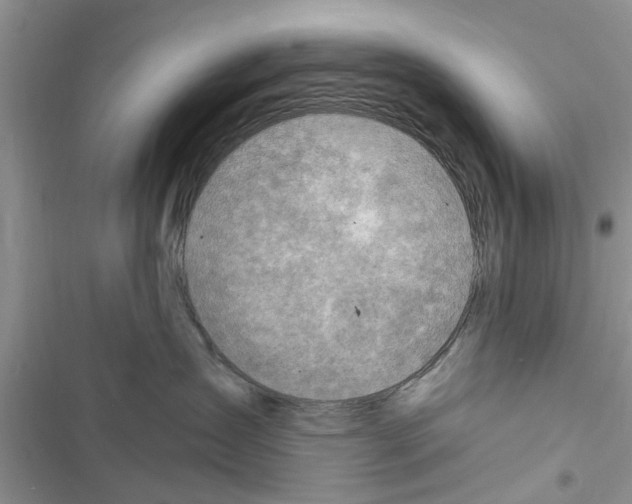 X0000116630431201001221404