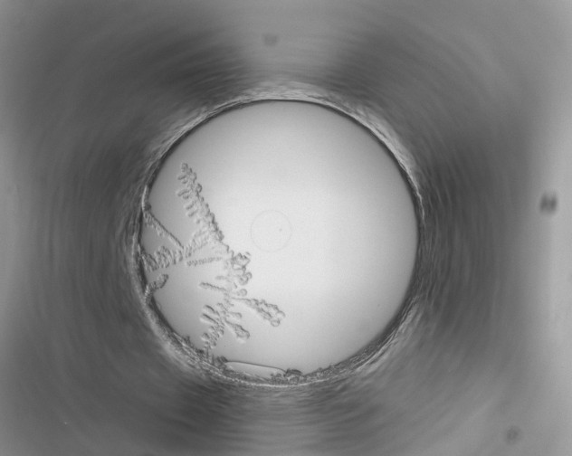X0000116630433201001221404