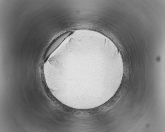 X0000116630434201001221404