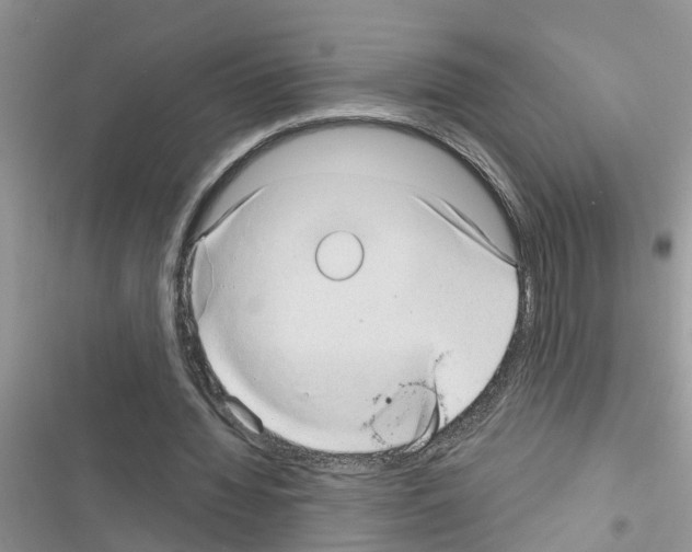 X0000116630436201001221404