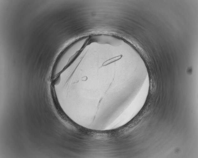 X0000116630438201001221404