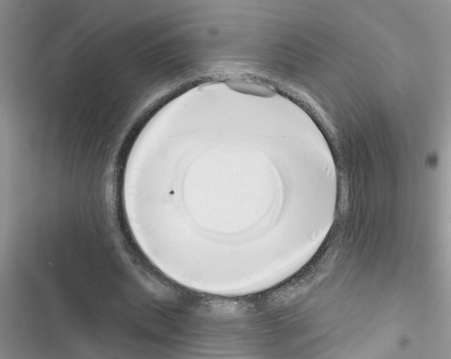 X0000116630439201001221404