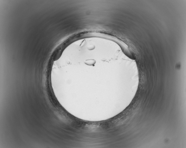 X0000116630440201001221404