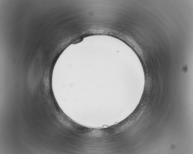 X0000116630441201001221404