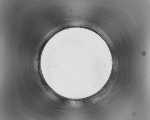 X0000116630442201001221404