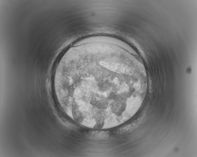 X0000116630443201001221404