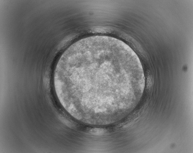 X0000116630444201001221404
