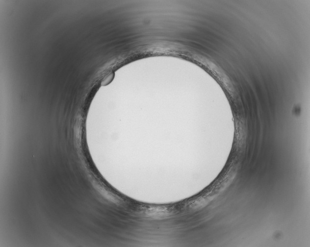 X0000116630445201001221404