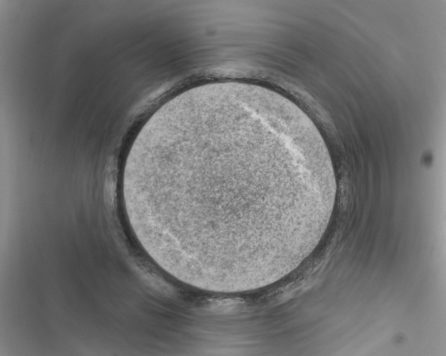X0000116630446201001221404
