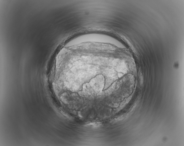 X0000116630447201001221404