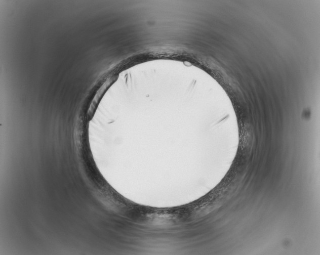 X0000116630448201001221404