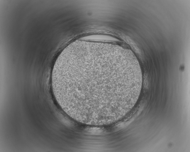 X0000116630449201001221404