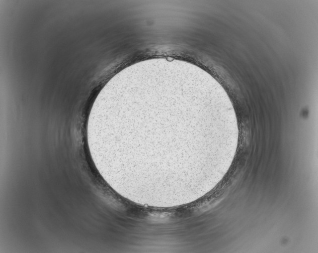 X0000116630450201001221404