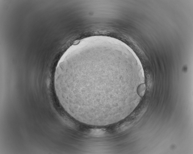 X0000116630451201001221404
