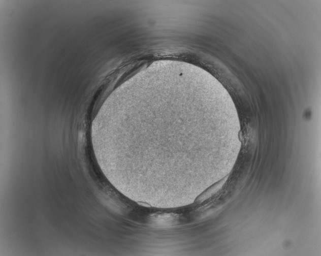 X0000116630452201001221404