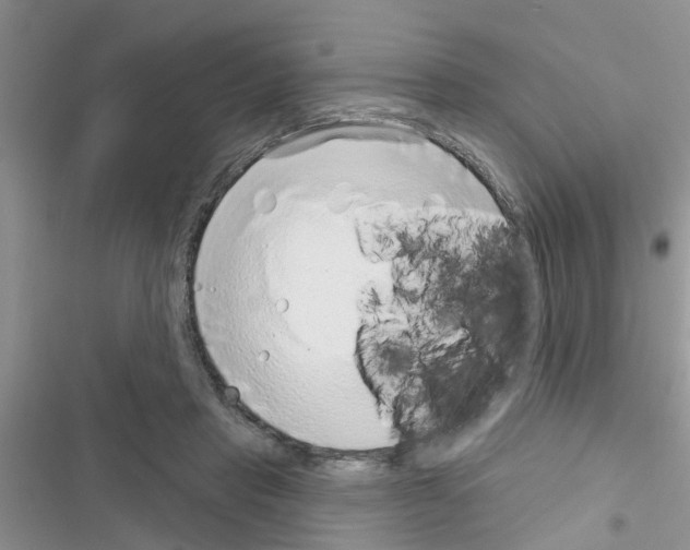 X0000116630453201001221404