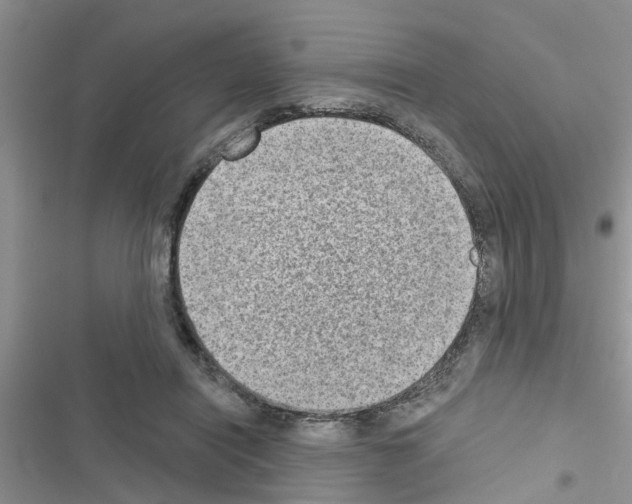 X0000116630454201001221404