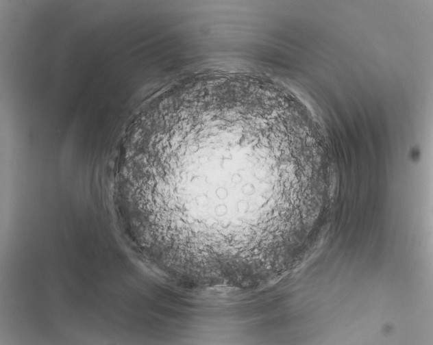 X0000116630455201001221404